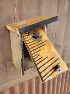 Chickadee/Wren/Nuthatch box